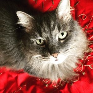 Meet your Posher, Susanne